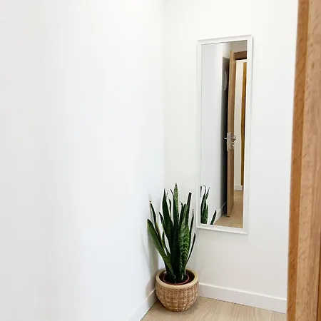 Apartamento Sobre El Callejon *